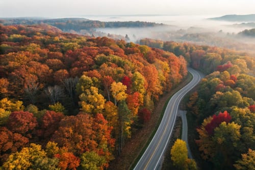 autumn-road-through-colorful-forest-with-morning-f-2026-03-27-02-04-26-utc